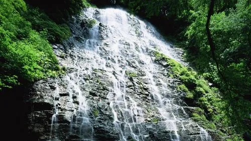 电子节能高效